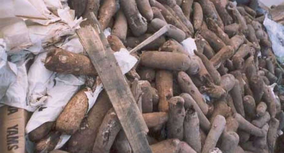 Excessive Yam Spoilage Upon Arrival in U.S. ports.