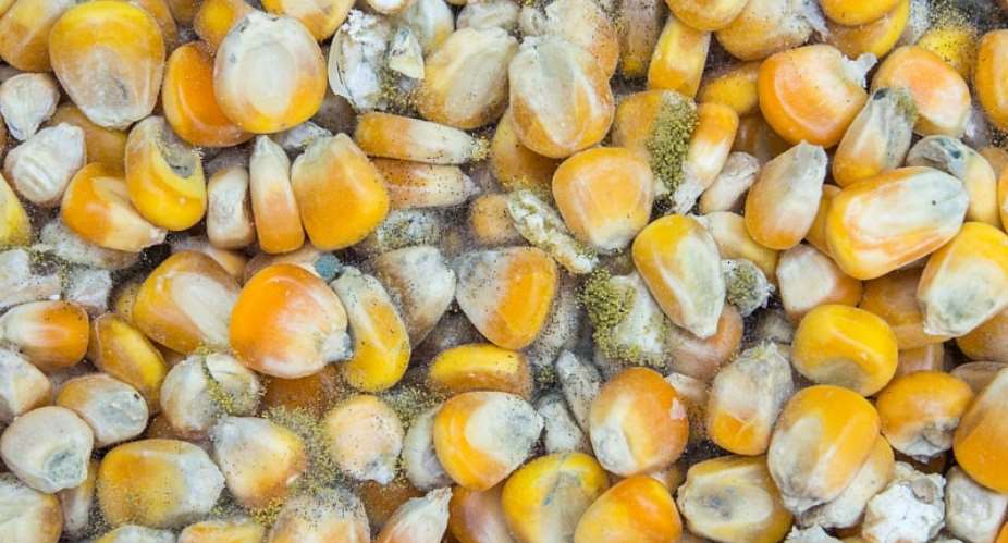MoFA, Standards Authority To Deal With Aflatoxins Menace