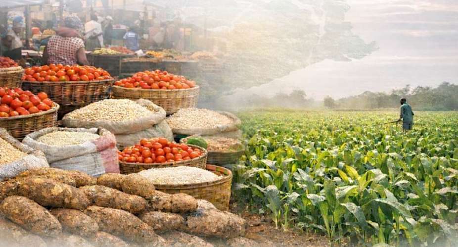Addressing Food Price Volatility in Ghana: Evidence, Impacts, and Strategic Policy Options