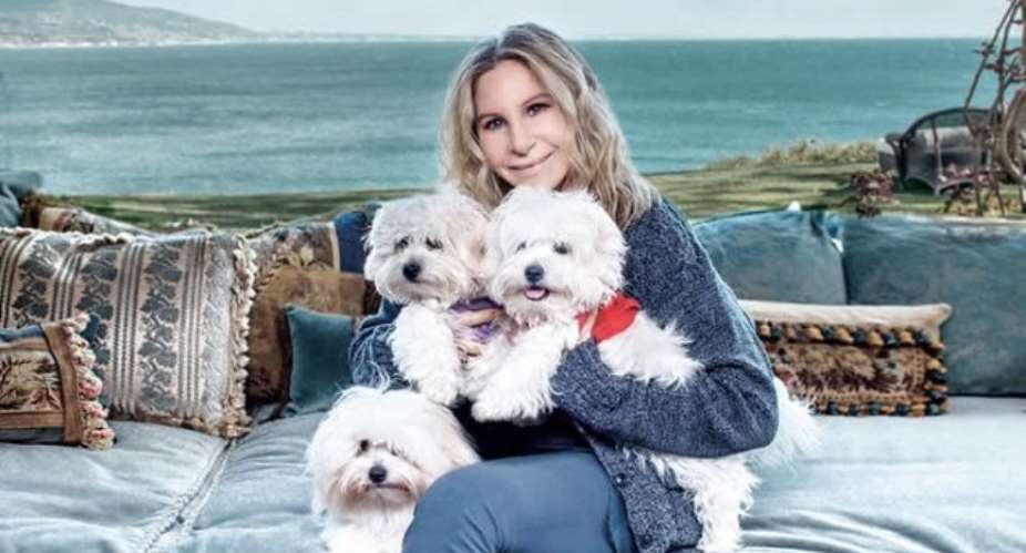 Barbra Streisand Clones Beloved Dog