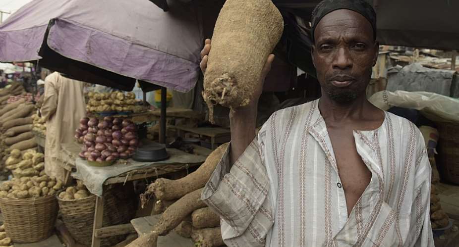 A vendor holds a tuber of yam for sale at the popular Mile 12 market in Lagos.  - Source: Pius Utomi Ekpei/AFP via Getty Images