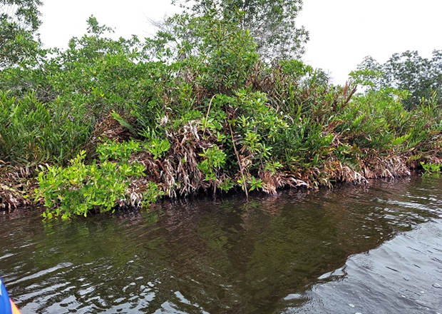 Keta Ramsar site