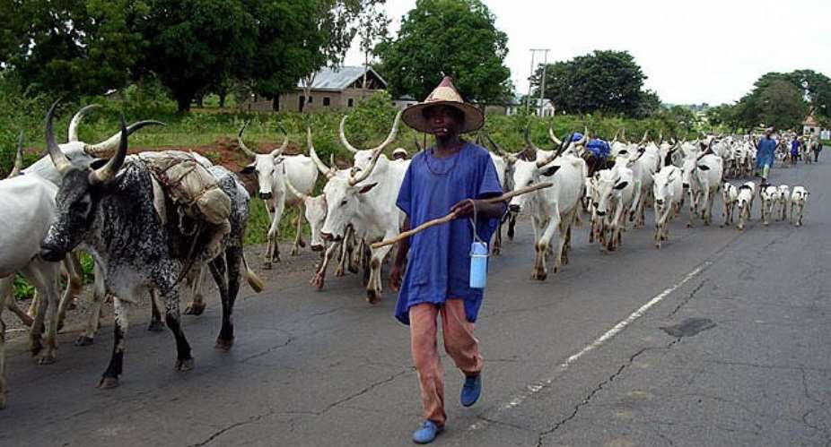 Hausa-Fulani Planning to Secede: Niger, Chad to Benefit (Part 1)
