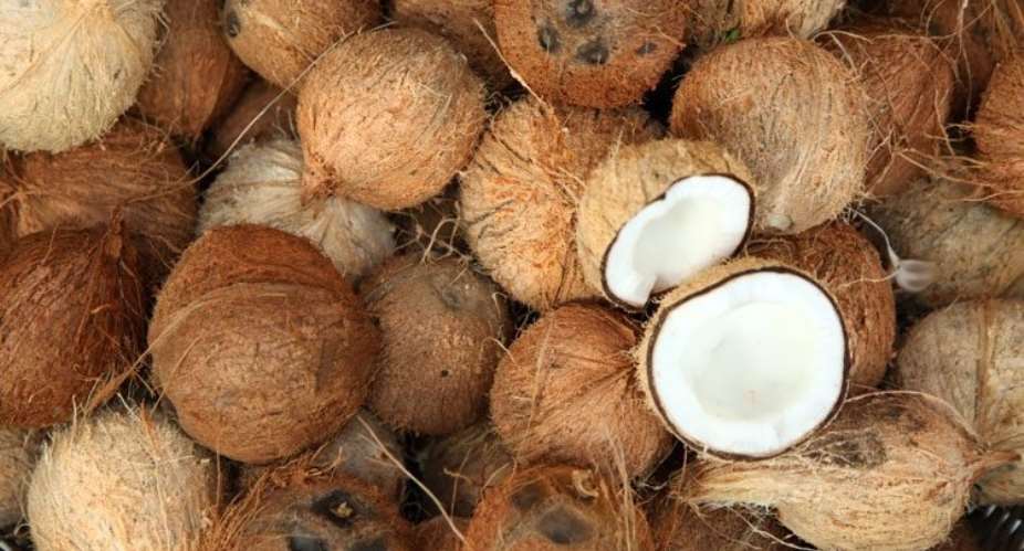 Ellenda Gets Coconut Processing Centre