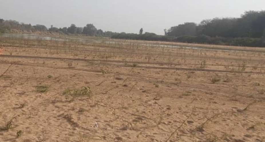 White Volta River nearly dries up as Burkina Faso diverts water, threatening farms across Northern Ghana