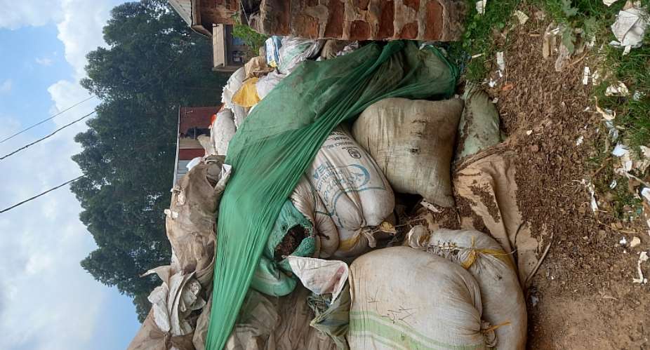 The Garbage Crisis in Africas Capital Cities: From Waste to Wealth
