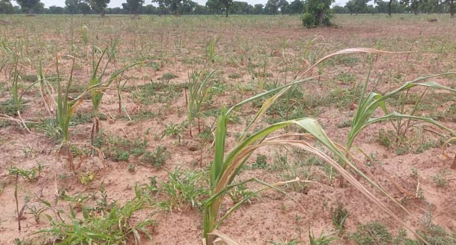Irrigation: Surviving the impact of dry spell in Northern Region