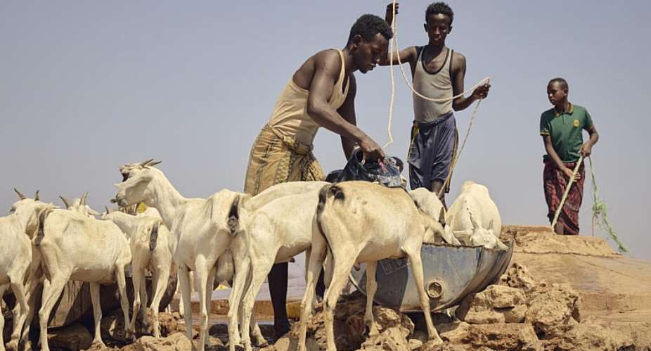  Abdikarim Mohamed/ICRC