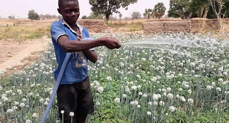 World Vision Ghana supports farmers in Tempane District with irrigation facilities, improve children education