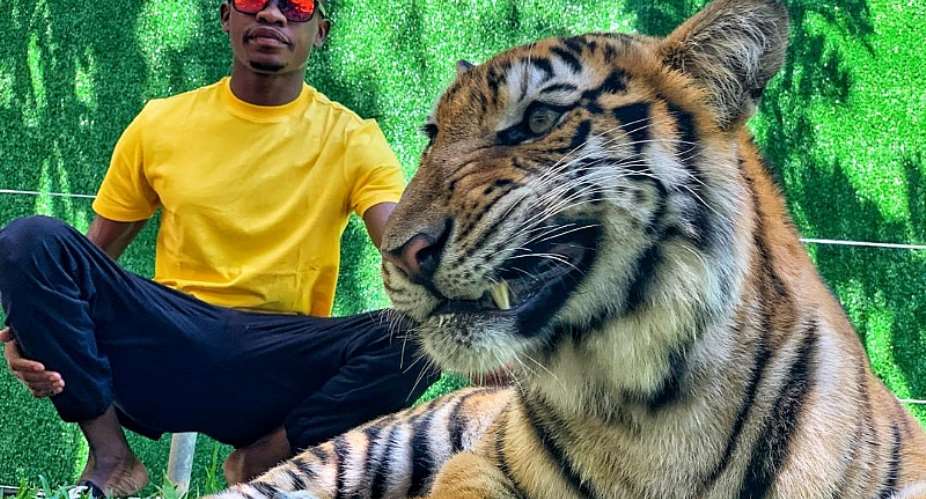 Nigerian pageant King Emmanuel somto poses and chat with a live tiger
