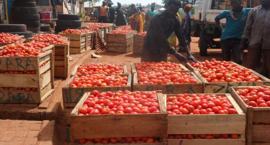 Burkina Faso halts tomato exports, raising supply concerns in Ghana
