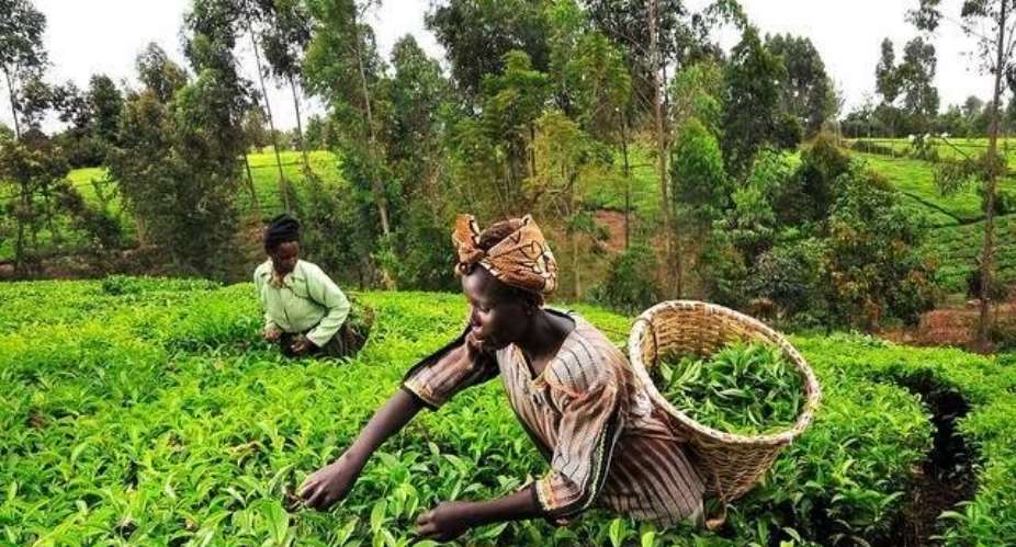 Barclays, GCX To Boost Farmers, Traders On Local Bourse