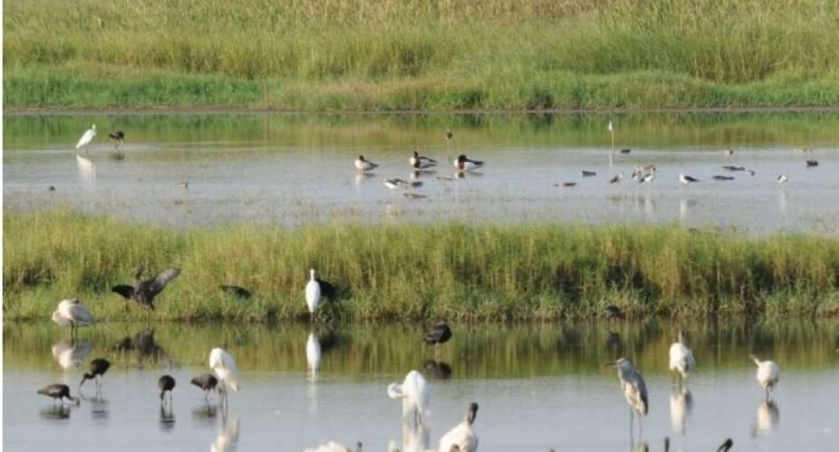 Proposal for The Preservation And Restoration Of Ghana’s Six Ramsar Sites