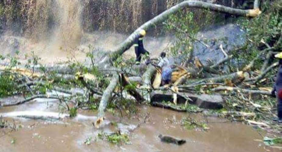 Kintampo Again!! a Rainstorm, a Fallen Tree  a DISASTER