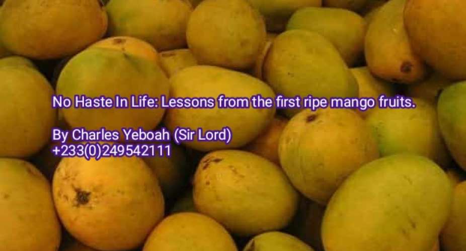 No haste in life: lessons from the first ripe mango fruits