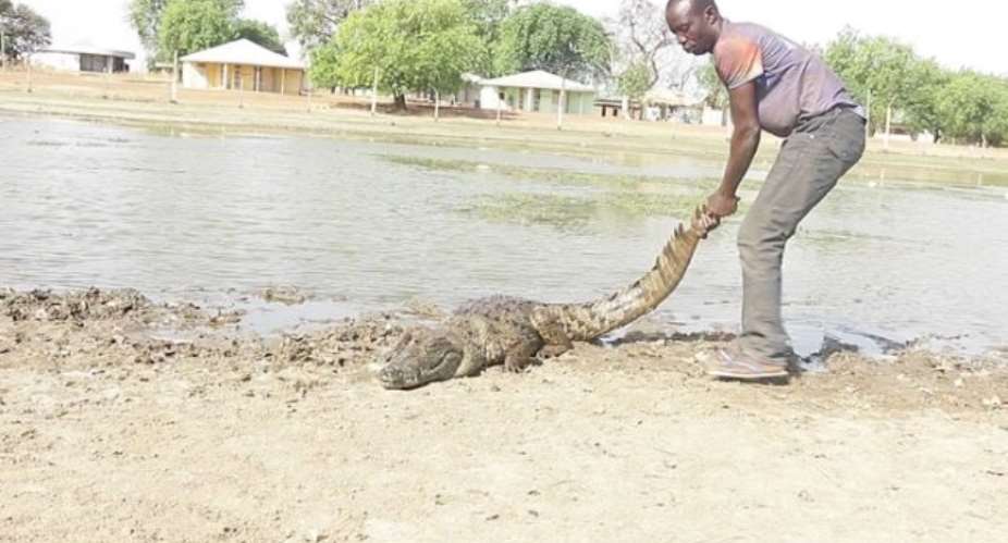 Filth Takeover Paga Crocodile Pond