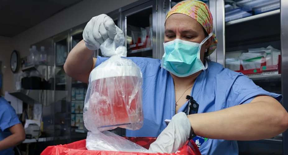 Pig kidney transplanted into living person for first time