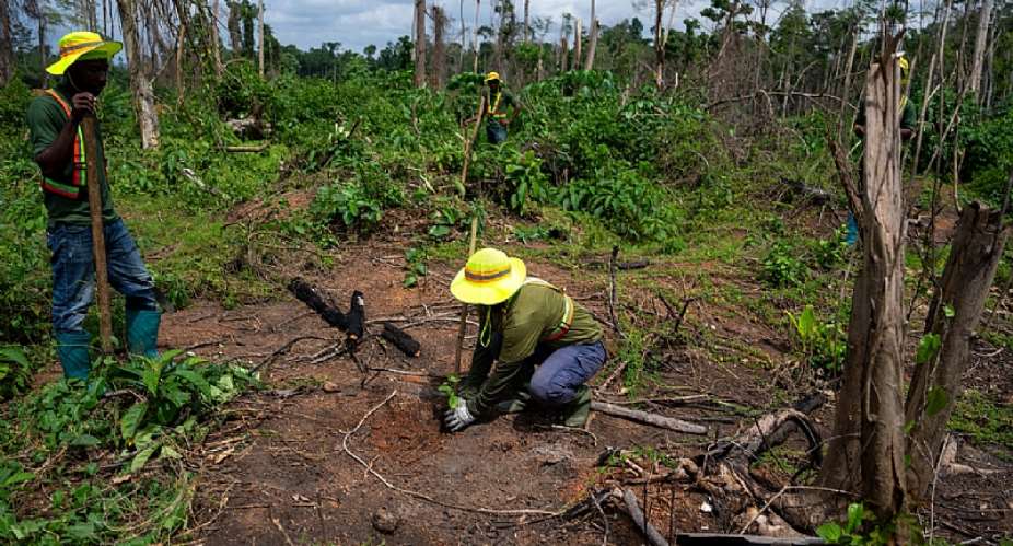 Rainforest Builder, Project Akwaaba