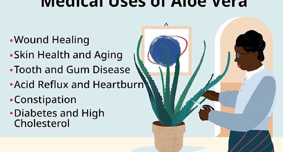 Aloe vera: a natural constipation relief remedy, treats diabetes, improves skin, and dental  Health.
