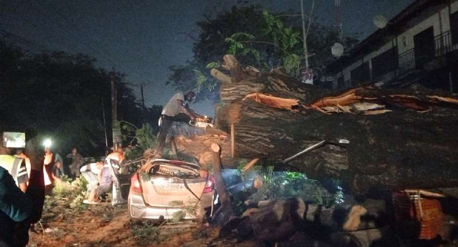 Fallen tree crushes car, injures one at Kotobabi