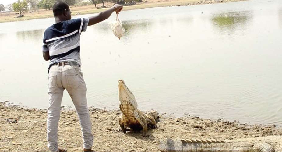 Paga-Zenga Community calls for desilting of crocodile pond to boost tourism