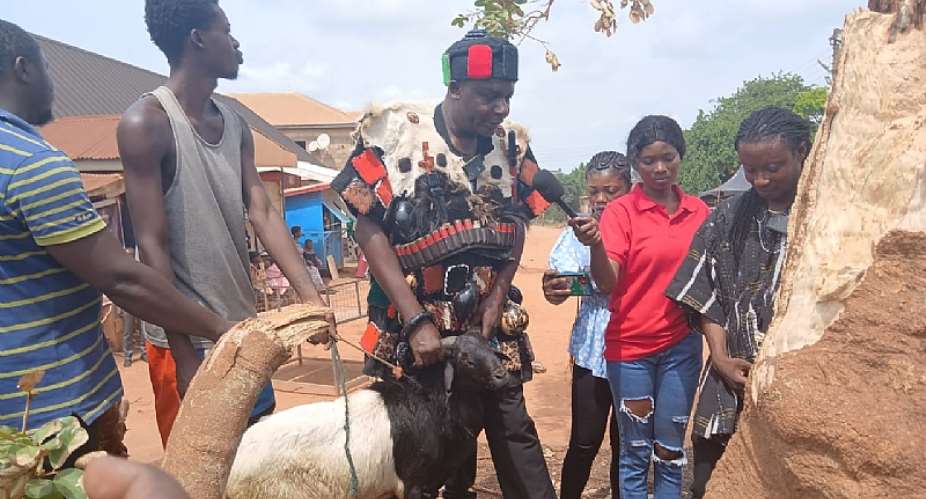 A/R: Achiase residents on lockdown as chiefs perform rituals to appease gods over mysterious bee attacks