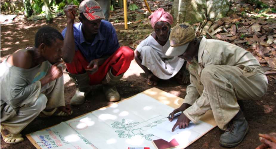 Cocoa farmers receiving education on tree planting on farms photo: Sander MuilermanWCF
