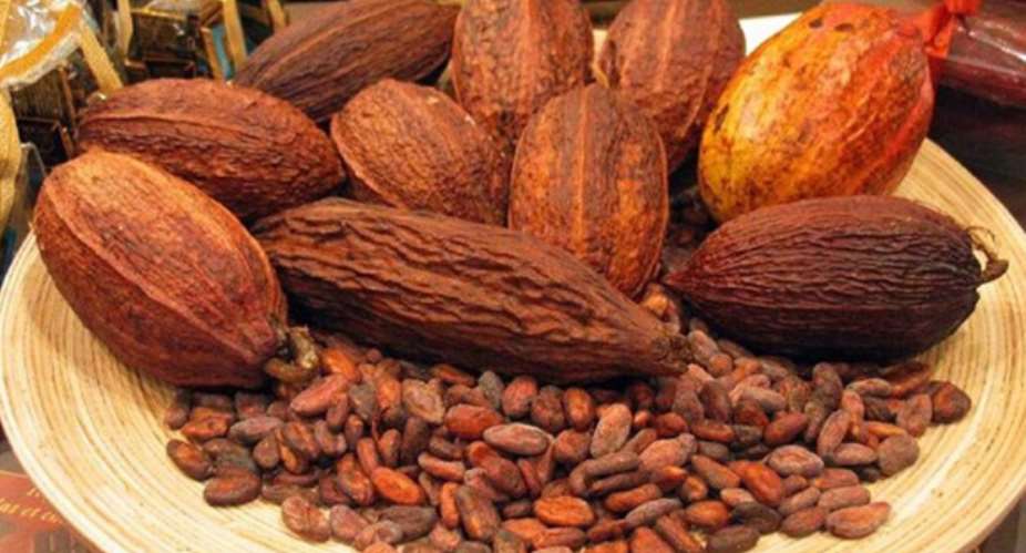 Covid-19: Consume More Cocoa To Boost Your Immune System – Ghanaians Told