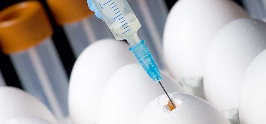 Egg-Based Covid-19 Vaccine, A Chance For African Manufacturers