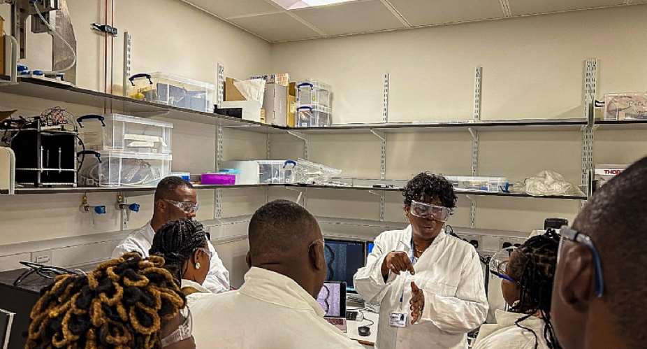 Dr. Adi-Dako Explains Chip Technology