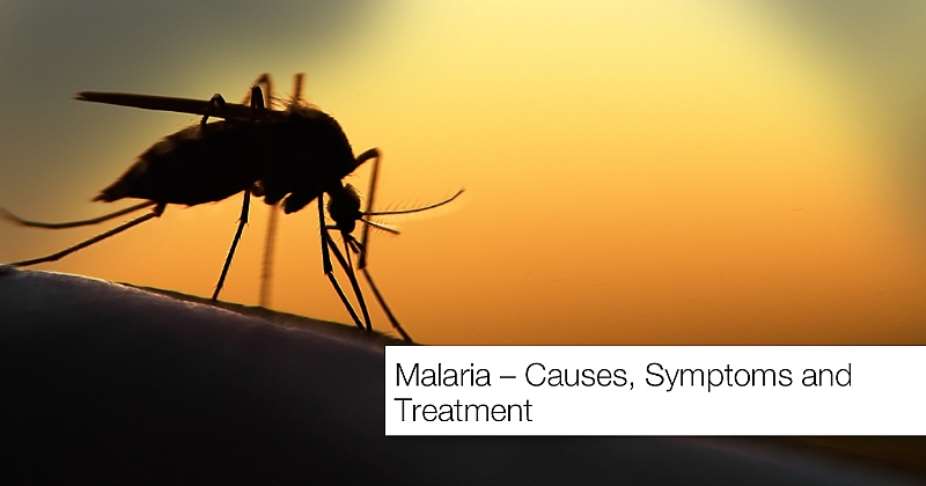 Malaria: A Persistent Health Concern in Ghana