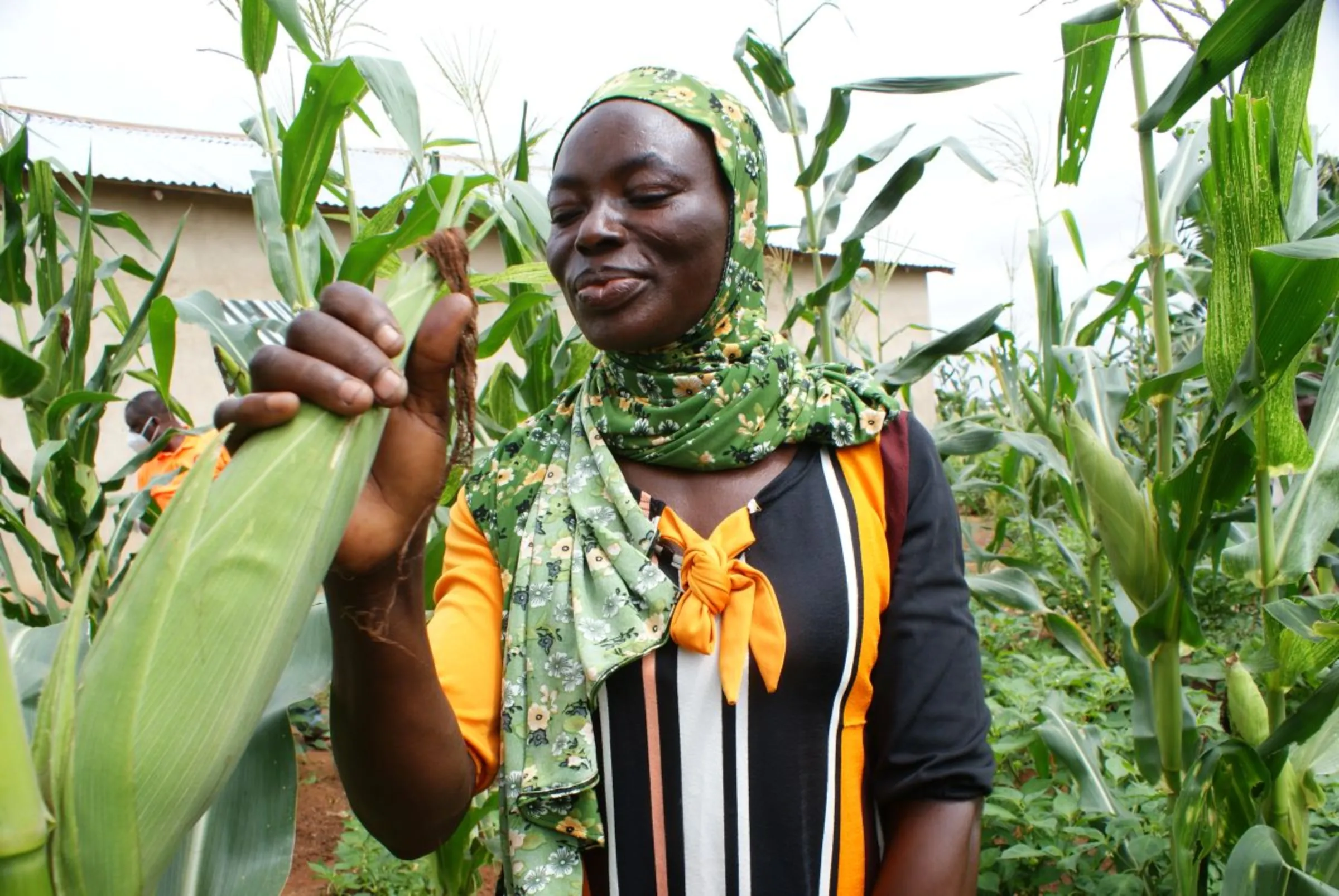 Ghana receives $2.8million crop insurance premium for farmers