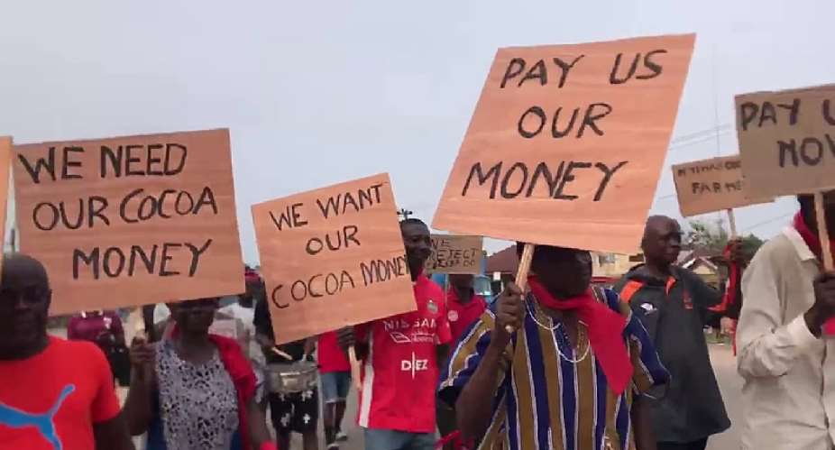 ‘We can’t survive’ — Atwima Mponua cocoa farmers protest price cut, delayed payments