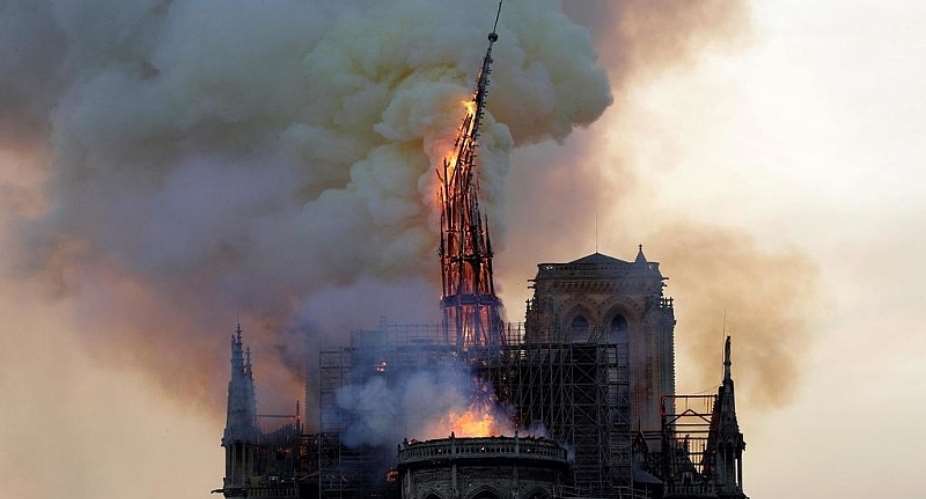 First oak trees chosen to repair roof, spire of fire-damaged Notre Dame