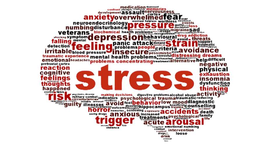 Understanding the Impact of Stress on the Brain: Strategies for a Healthier Mind