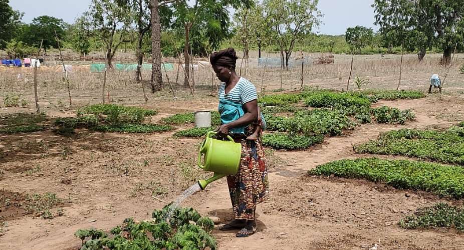 Celebrating our gallant female agriculturalists as the world marks International Women’s Day