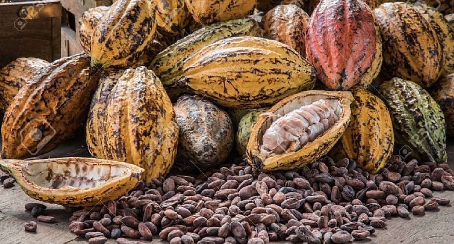Ghana likely to lose top cocoa producer slot – Lecturer