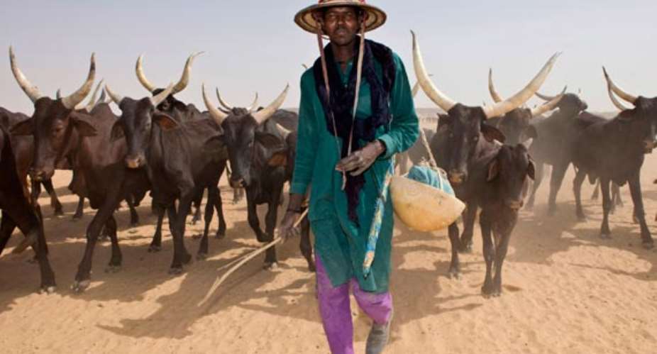 Minister Declare War On Fulani Herdsmen