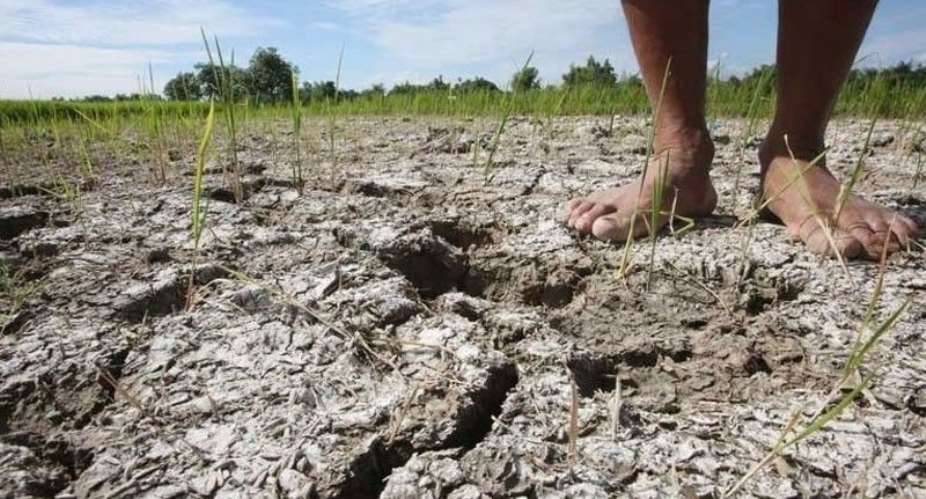 El Nio disasters: governments know what’s coming, but are unprepared – what must change