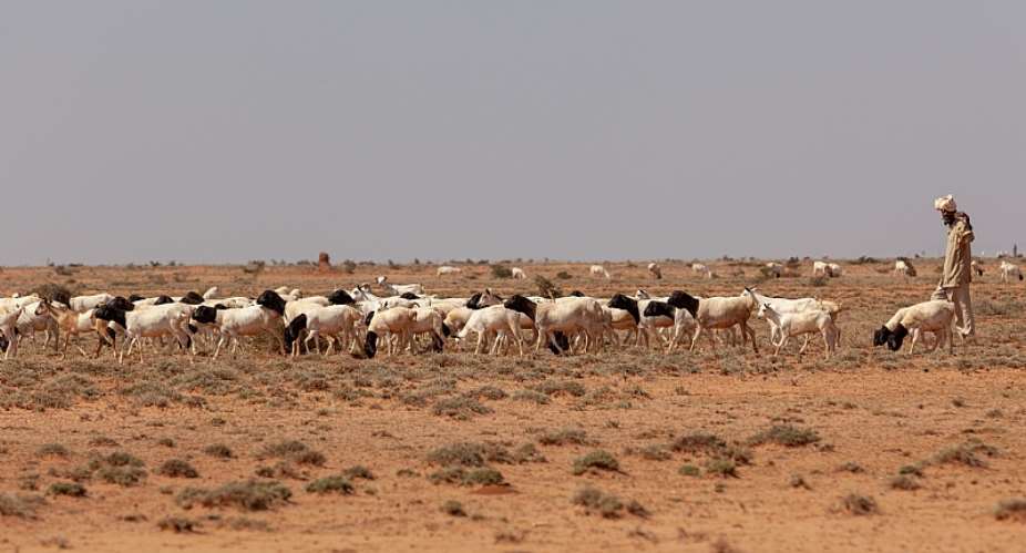 Climate change can trigger conflict between farmers and herders in Somalia. - Source: Eric LafforgueArt In All Of UsCorbis via Getty Images