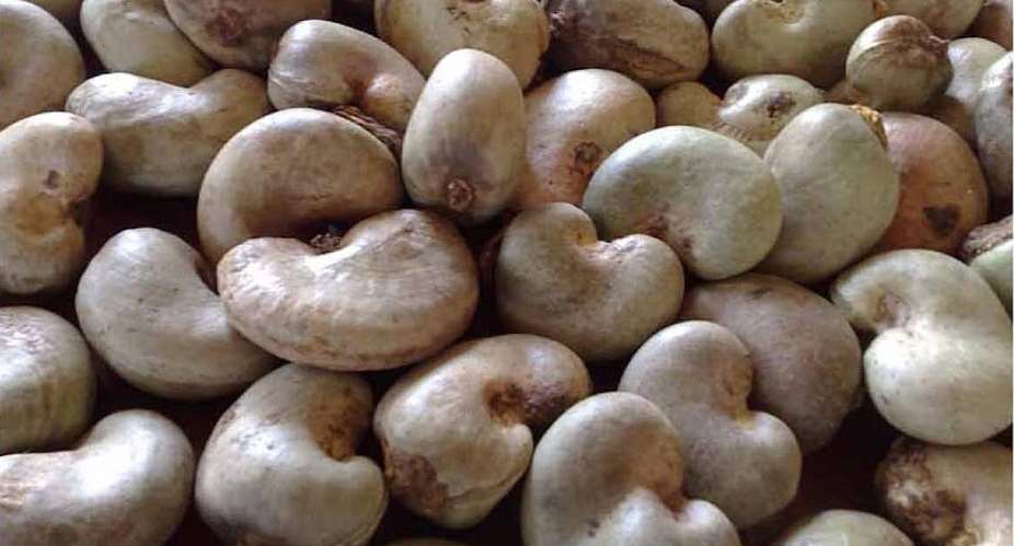 We need more players and strong institutions in cashew - Stakeholders