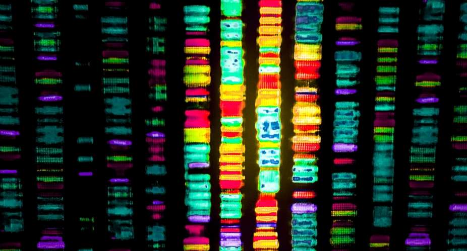 Genomic sequencing can help in understanding viruses. - Source: Gio.ttoShutterstock