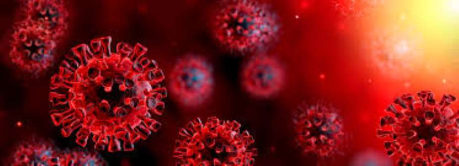 Coronavirus updates As it happens 2020-04-20