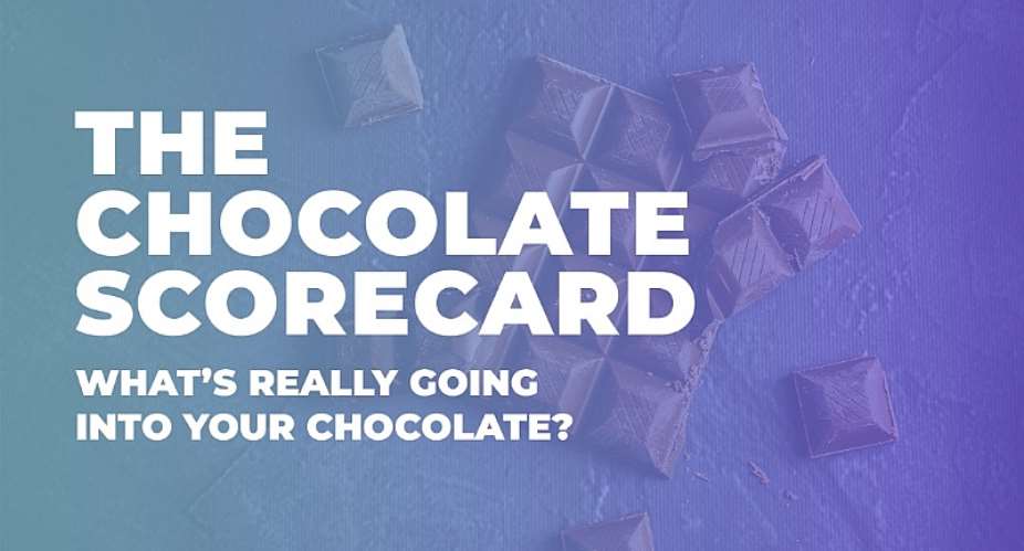 2022 Chocolate Scorecard: New survey reveals chocolate industrys good producers and rotten eggs
