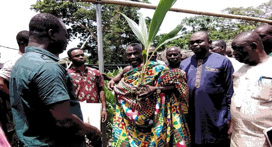 DEDA Distributes Improved Certified Coconut Seedlings To Farmers Within The District