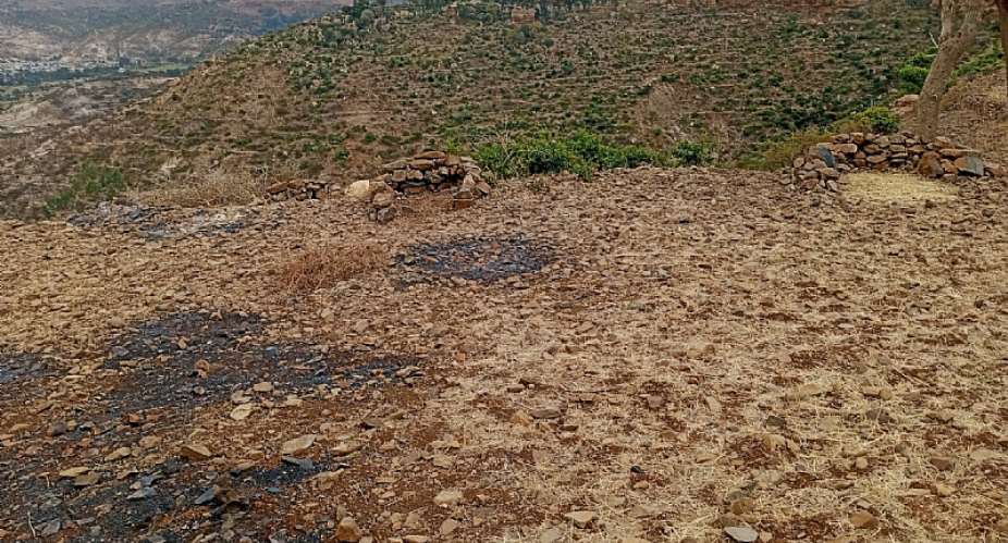 Farmland razed by Eritrean soldiers at a village in Ahferom district, Central zone, Tigray. - Source: Abrha Brhan Gebrewith permission