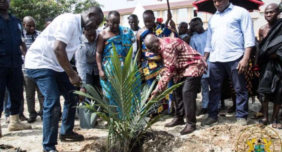 President Akufo-Addo says government is taking the necessary steps towards the establishment of the relevant institution to regulate tree crop development in the country.