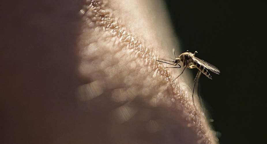 Malaria vaccine hailed as potential breakthrough with 77 effectiveness