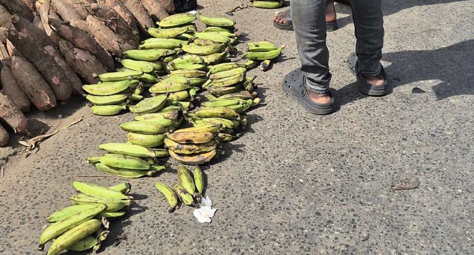 Tema Metropolitan Assembly must prevent traders from selling on the ground - Plantain Queen