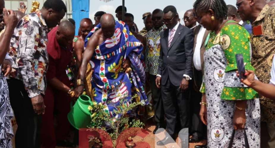 Otumfuo watering a planted tree at the construction site